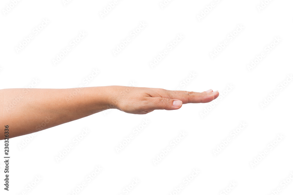 Female Hand Female Hand
