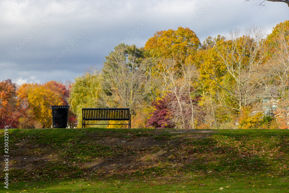 park bench overlooking beautiful autumn foliage