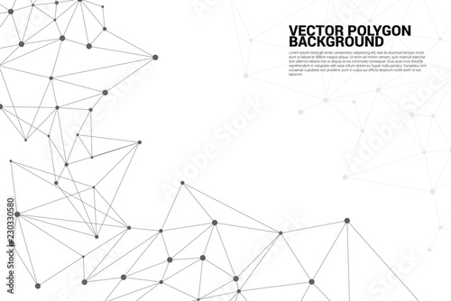 Network Connecting dot polygon background : Concept of Network, Business, technology, Connecting, Molecule, Data, Chemical