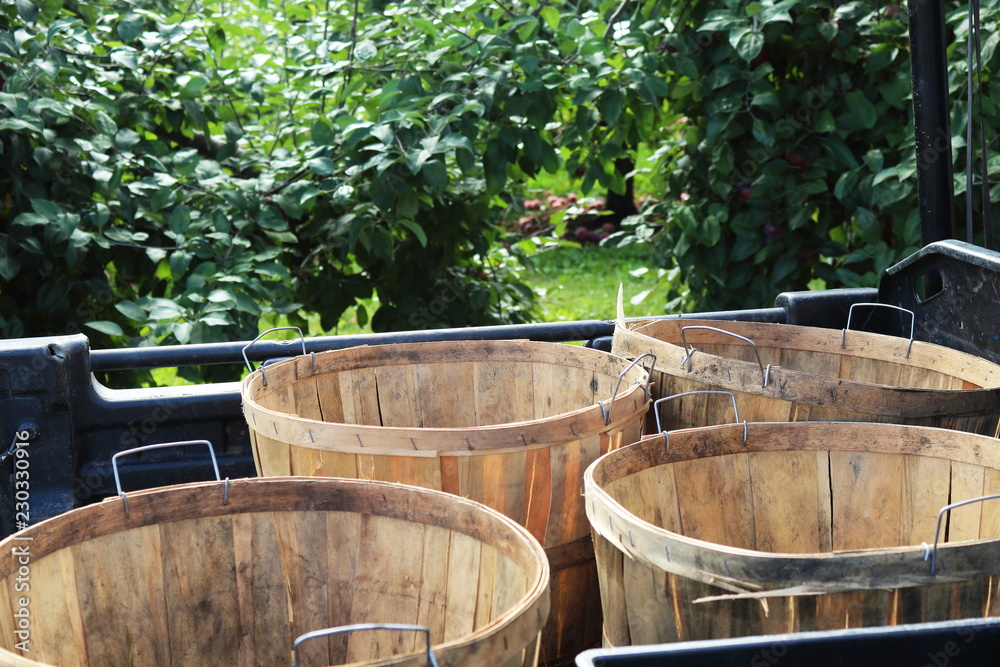 Four apple baskets on a cart in the orchard Four apple baskets on a cart in the orchard