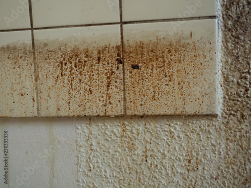 Grease spots and dirt stains on wall paper and tiles in old, filthy kitchen of demolished apartment before renovation, gross and disgusting splashes of grunge and oil from cooking before cleaning photo