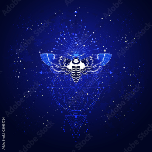 Vector illustration with hand drawn butterfly Dead head and Sacred geometric symbol against the starry sky. Abstract mystic sign. © nadezhdash