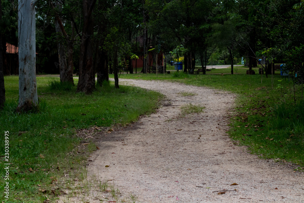 Obraz premium Caminho leve