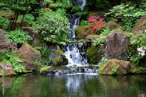 Fototapeta Naklejka Na Ścianę i Meble -  Japanese Garden waterfall
