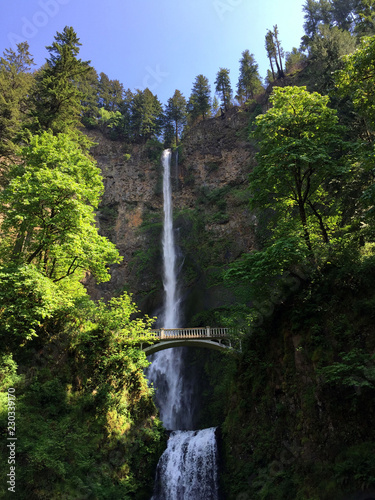 Multnomah Falls photo