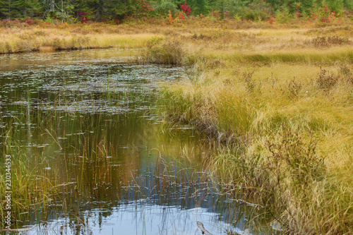 Colorful fall foliage around Stratton Brook Pond, Maine.