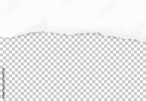 Torn paper edges for background with area for copy space. Ripped paper texture on transparent background. Vector.