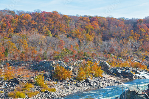 Fototapeta Naklejka Na Ścianę i Meble -  Rocky riverbank of Potomac River and autumn forest. Great Falls State Park trails run across rocky terrain near the river.