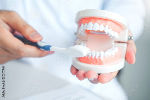 Dentist learning how to brush teeth photo
