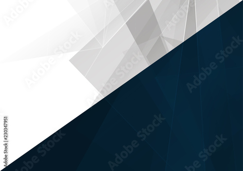 Abstract gray and blue color with polygon modern background. illustration vector design