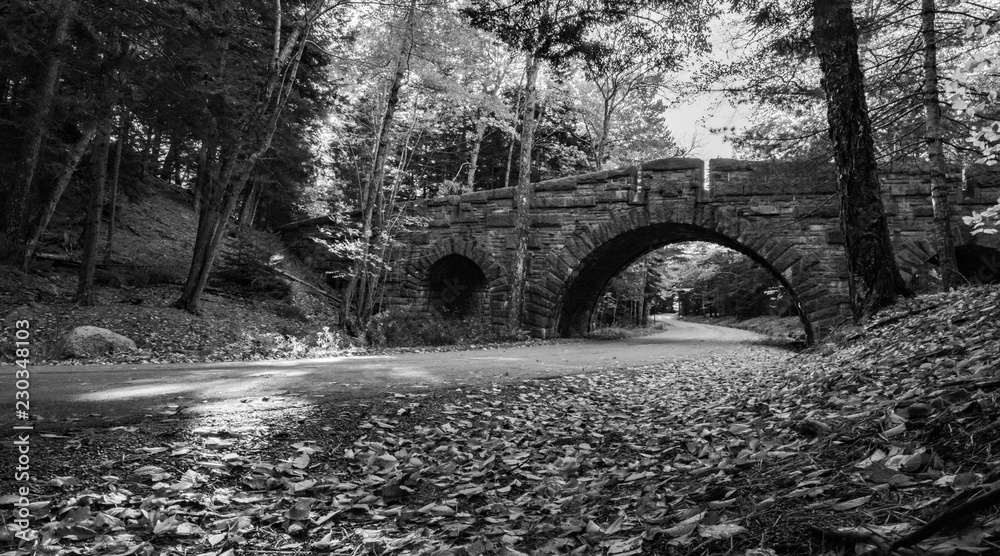 Acadia Arch in Black and White 