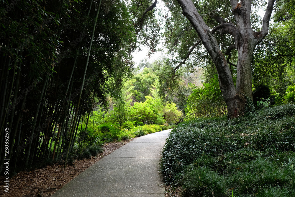 Fototapeta premium Nature path