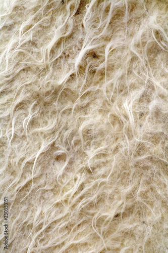 texture Caucasian burka of merino wool 