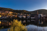 Schlossblick Heidelberg