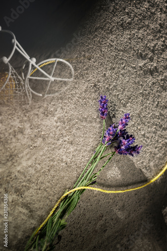 Fototapeta Naklejka Na Ścianę i Meble -  A small decorative figure of a white bicycle. Purple lavender flowers.