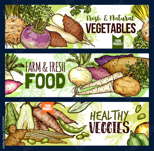 Vegetables and farm food veggies vector banners