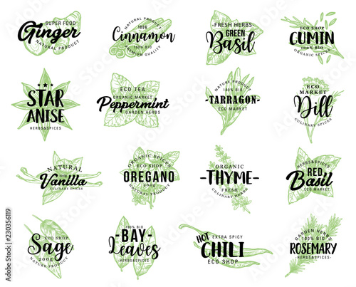 Organic herbs, spices seasonings sketch lettering