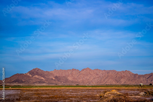 Gila Mountains in Yuma at Southwestern Arizona