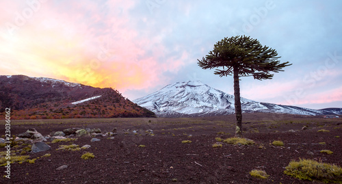 Malalcahuello - Chile 