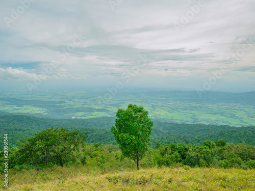 One tree and cloud sky view on Khao Luang mountain in Ramkhamhaeng National Park Sukhothai province Thailand