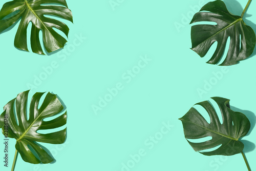 Frame tropical leaves Monstera pastel background top view flat lay