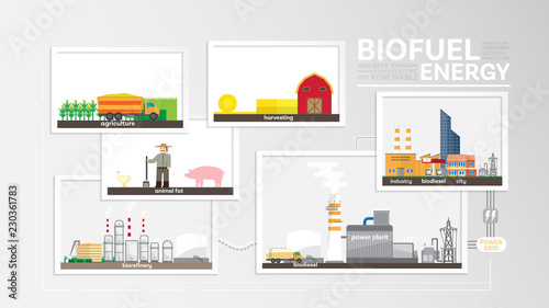 biofuel energy, how to produce biofuel, biofuel power plant generate the electricity