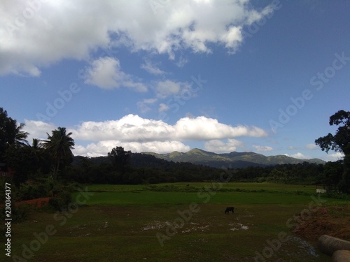 landscape with blue sky and clouds © SAJAIMOL