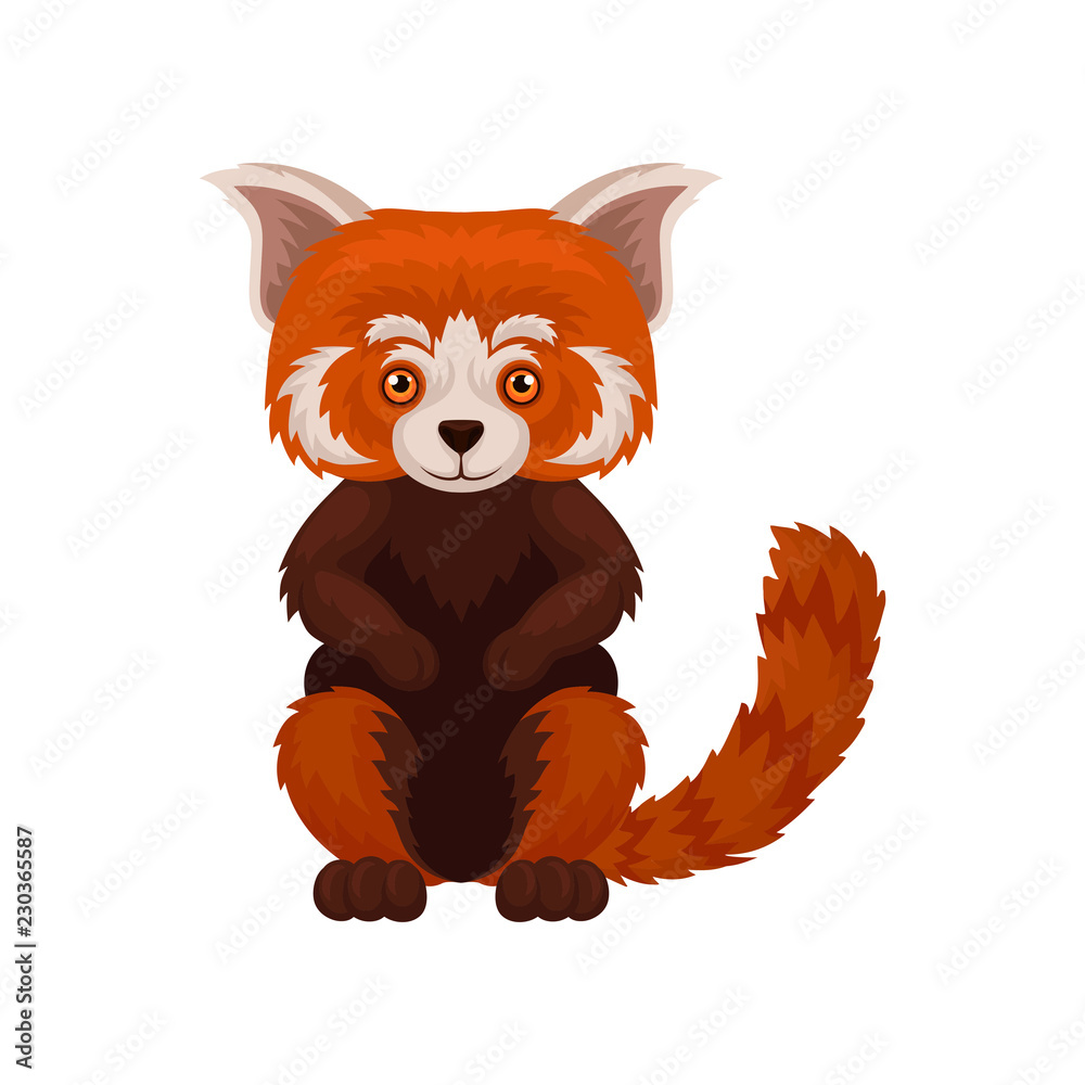 Cute Fluffy Chinese Red Panda Wild Animal Vector Illustration On A White Background Stock Vector Adobe Stock