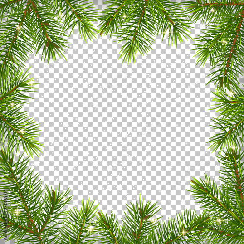 Christmas background with green branches, isolated.