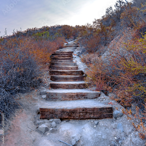 Curving wooden stairs in Monserate Mountain CA photo