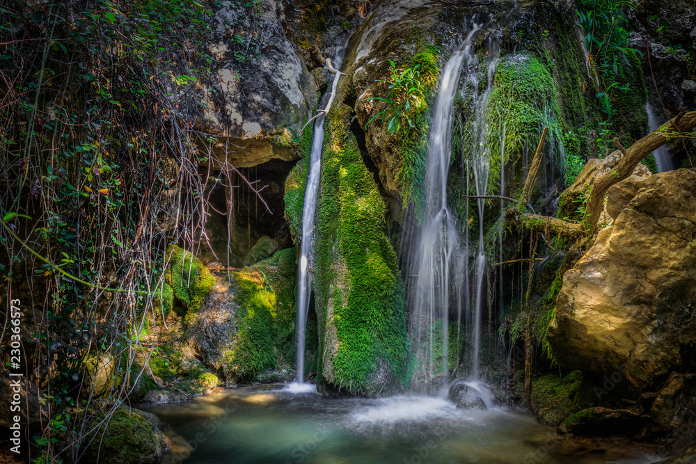 Fototapeta premium waterfall in the forest