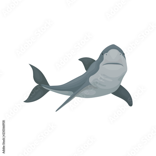 Swimming shark sea animal fish vector Illustration d on a white background