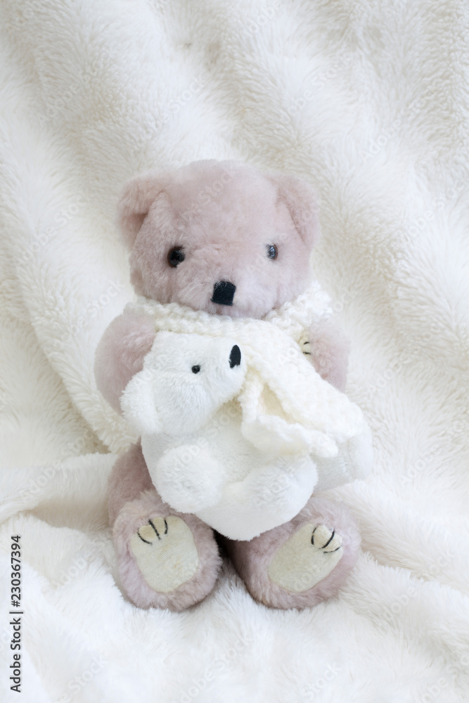 Teddy bear with love and gift