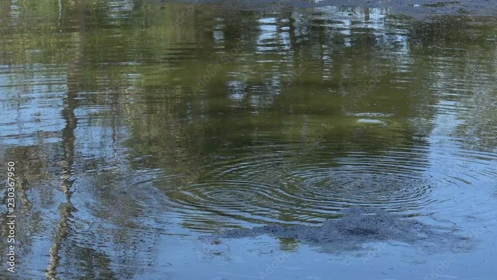Methane gas bubbling up in a natural tar pit
Methane gas bubbling up in a natural tar pit