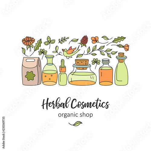 Herbal cosmetics, natural oil. Vector hand drawn illustration for natural eco cosmetics store. Set of jars with plant oils.