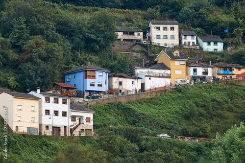 Houses on the forest hill in Cangas del Narcea. Asturias photo