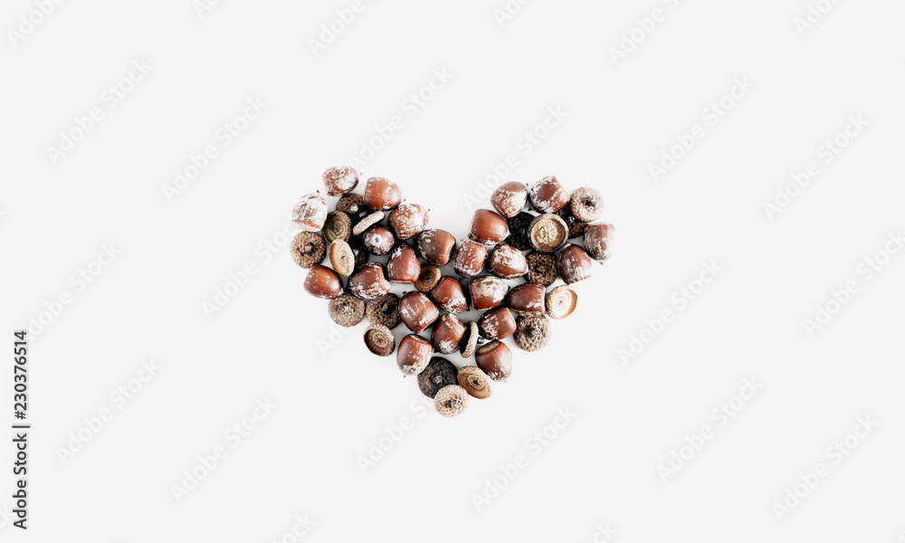 Autumn minimal composition. Acorns collage on white background. Autumn, fall modern concept. Flat lay, top view, copy space Autumn minimal composition. Acorns collage on white background. Autumn, fall modern concept. Flat lay, top view, copy space