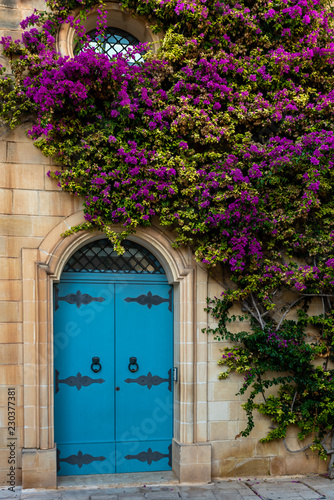 Hausfassade mit Tür und Blumen in Mdina