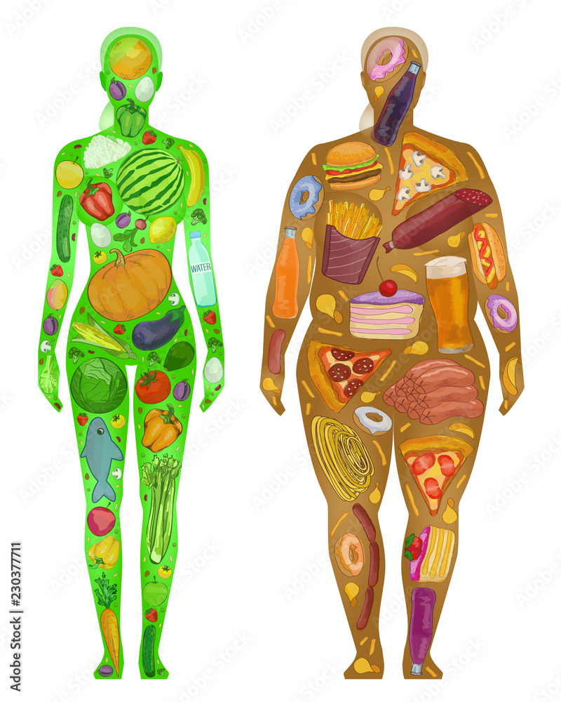Woman, food in body, thin thick,  vector illustration