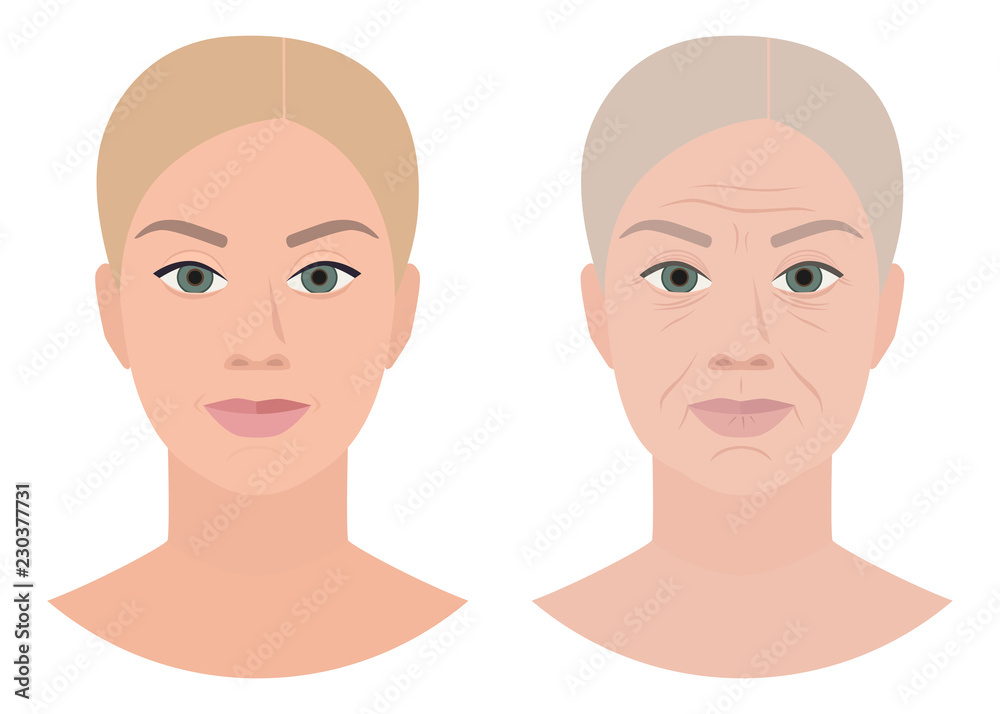 Old young face, cosmetology, anti age, vector Old young face, cosmetology, anti age, vector