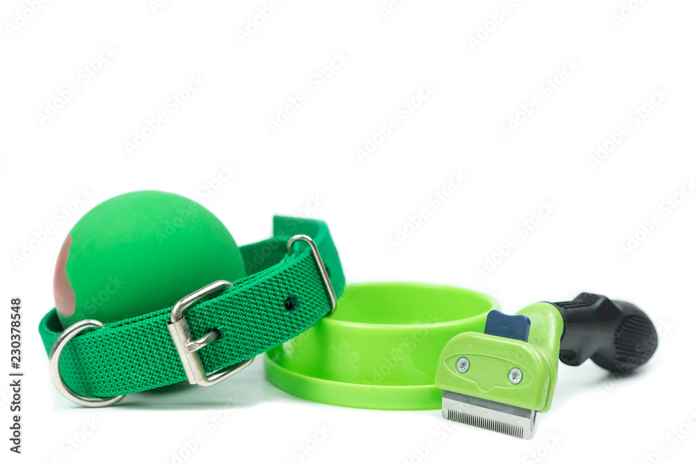 Pet accessories concept. Bowls, Rubber toy, Collars and brush on isolated white background.on isolated white background. Pet accessories concept. Bowls, Rubber toy, Collars and brush on isolated white background.on isolated white background.