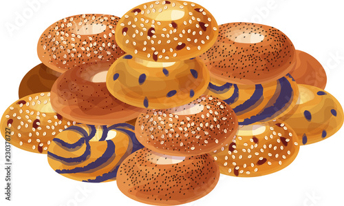 Cinnamon Sugar, Poppy Seed, Everything, Blueberry, Cranberry and Oat, and Blueberry Swirl Bagels Grouped in a Pile. Isolated vector illustrations.