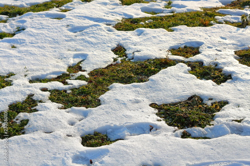 The texture of the snow on the grass