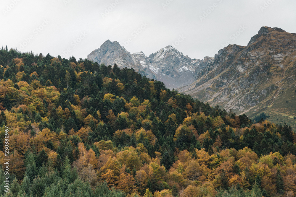 Autumn scene in the Pyrenees National Park, France