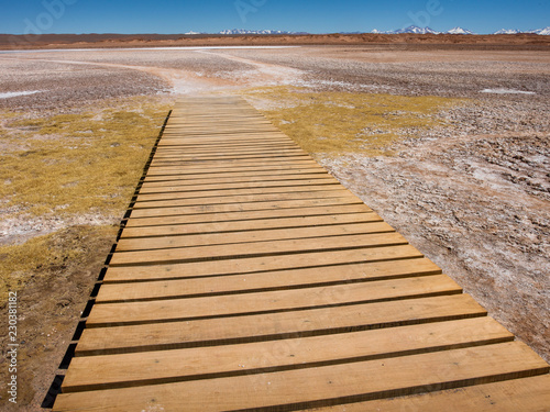 Tolar Grande Salta  Argentina South america