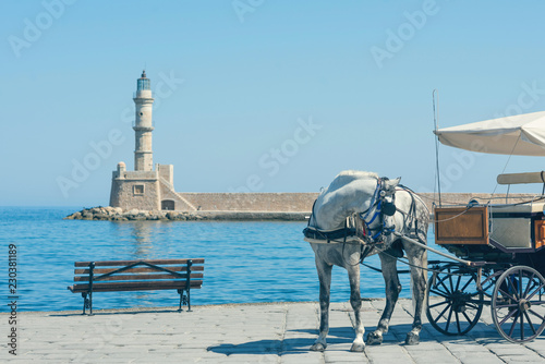 Fototapeta Naklejka Na Ścianę i Meble -  Closeup of a white horse with a carriage for the tourists in the Chania town on the sea background. Crete, Greece