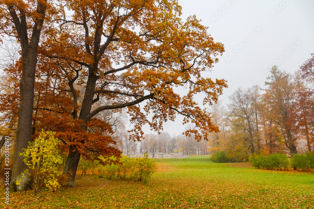 Catherine Park in Pushkin, St. Petersburg, Russia