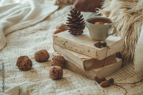 Still life in home interior of living room. Sweaters and cup of tea with a cone  on the books. Read. Cozy autumn winter concept
