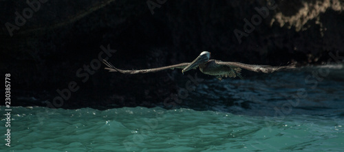 Bonaire photo