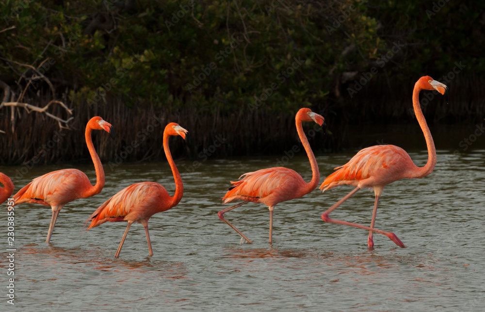 Bonaire Bonaire